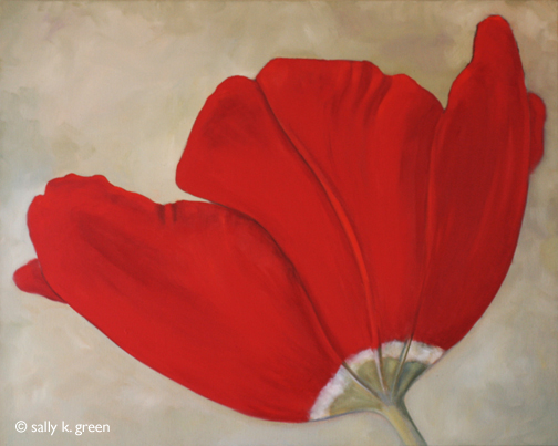tulip
