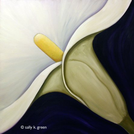 calla lilly