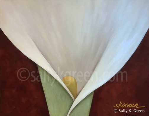 calla lilly