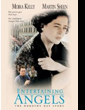 dorothy day dvd cover