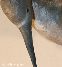 shorebird