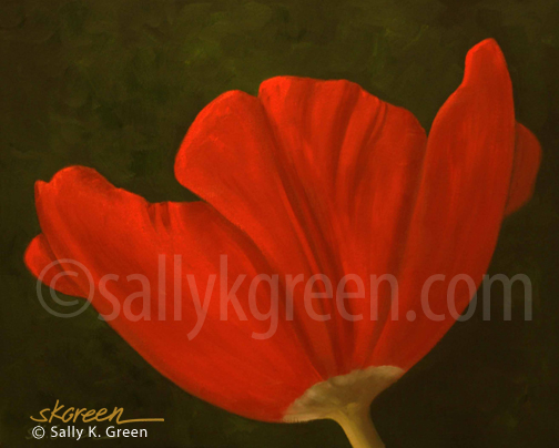 tulip on dark green