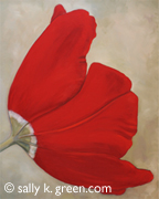 red-orange tulip